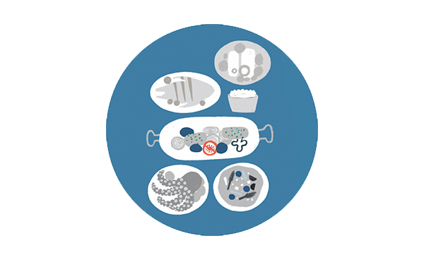 Diversificar a escolha do peixe