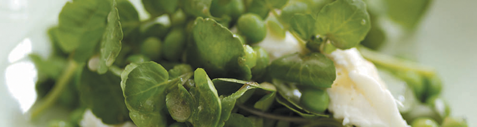 Salada de Ervilhas e Mozzarella